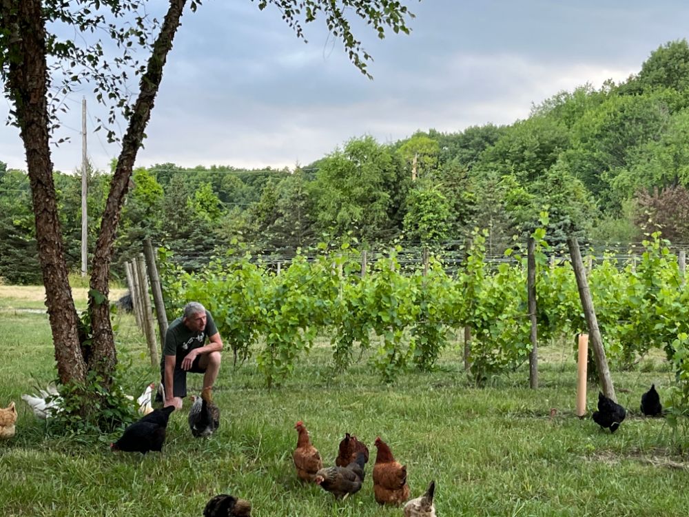 6 Linden Dreihart Winery Gallery